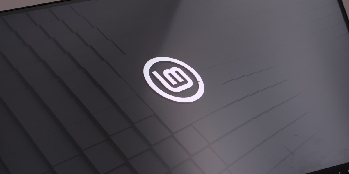 Linux Mint Installation